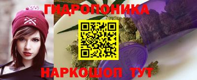 прущие грибы Донской