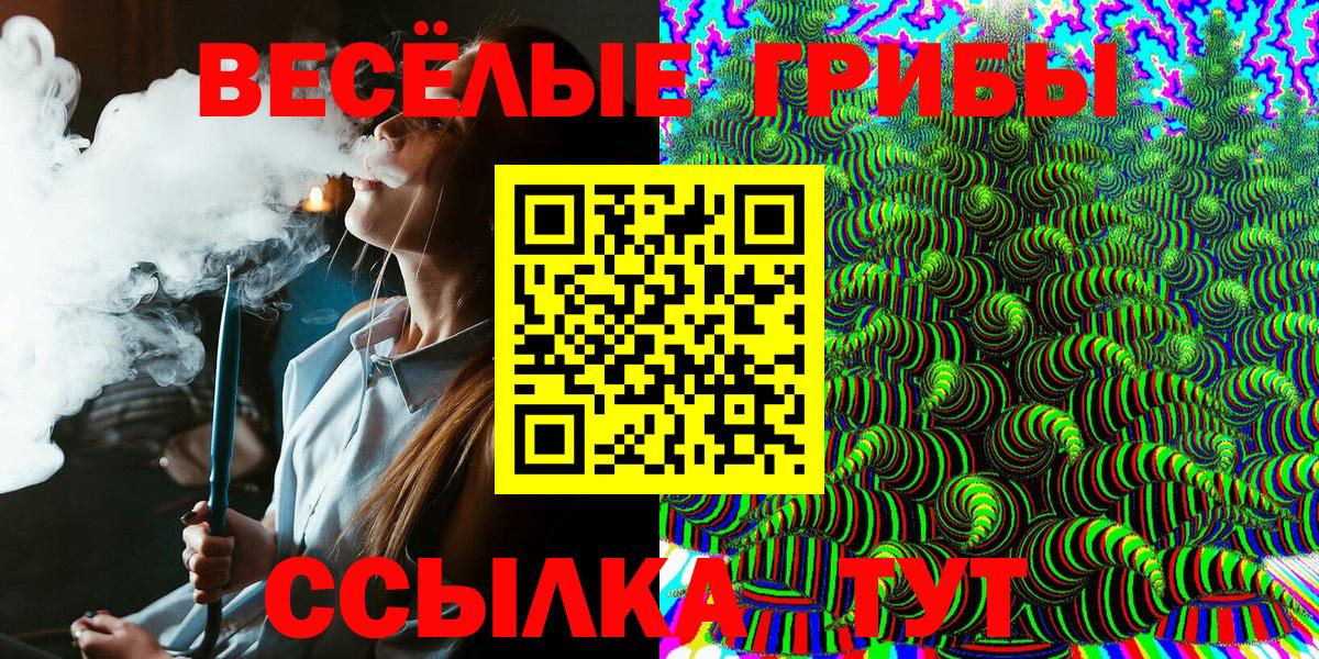 Волжск  Галлюциногенные грибы Psilocybe  Вход с VPN  Галлюциногенные грибы мухоморы 